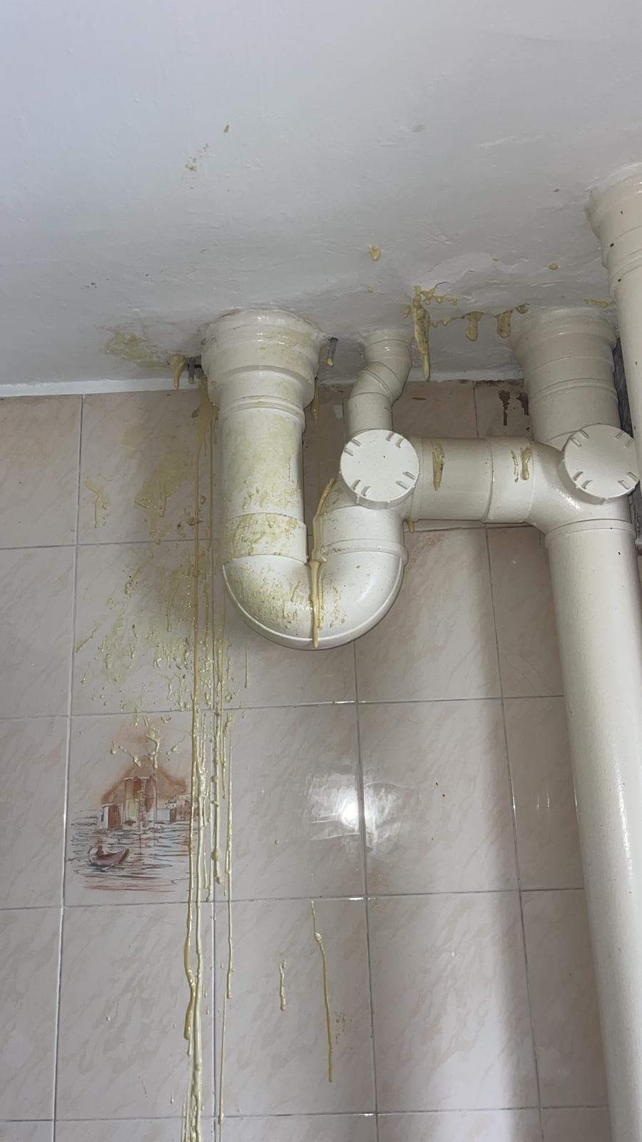 Pipe Installation & Replacement